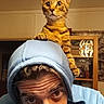 cat, kitten, tabby, man, hoodie, indoor, portrait, pet, animal, curious, face, expression, brown, orange, furniture, lighting, casual, human, cute, companion