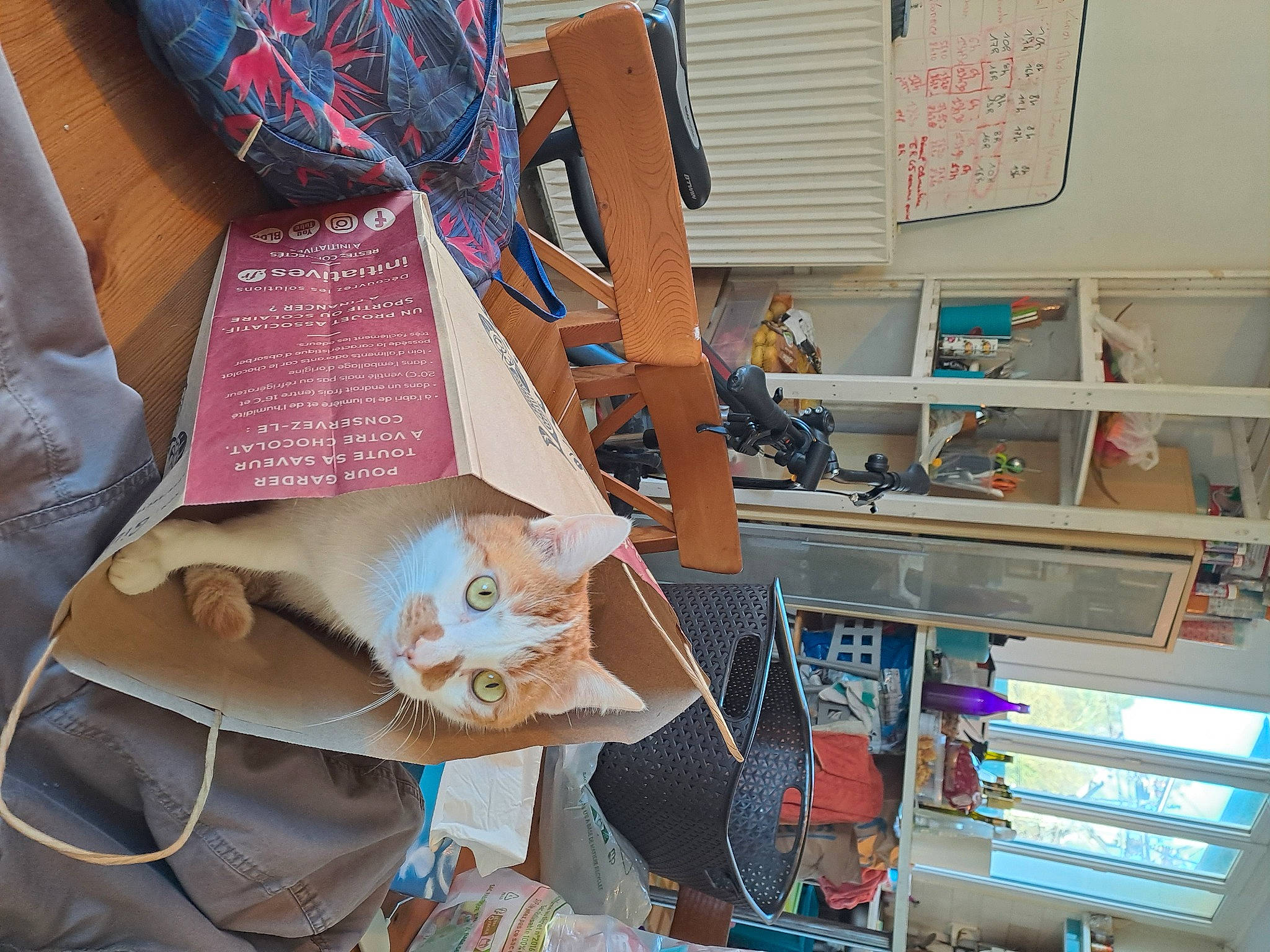 Miaouss participe au concours pour gagner de l'argent avec cette photo : art, bookcase, cardboard, eyewear, linens, paper, paper_product, pattern, plastic, publication, room, shelf, shelving, stuffed_toy, sunglasses, t_shirt, textile, toy, visual_arts, wood