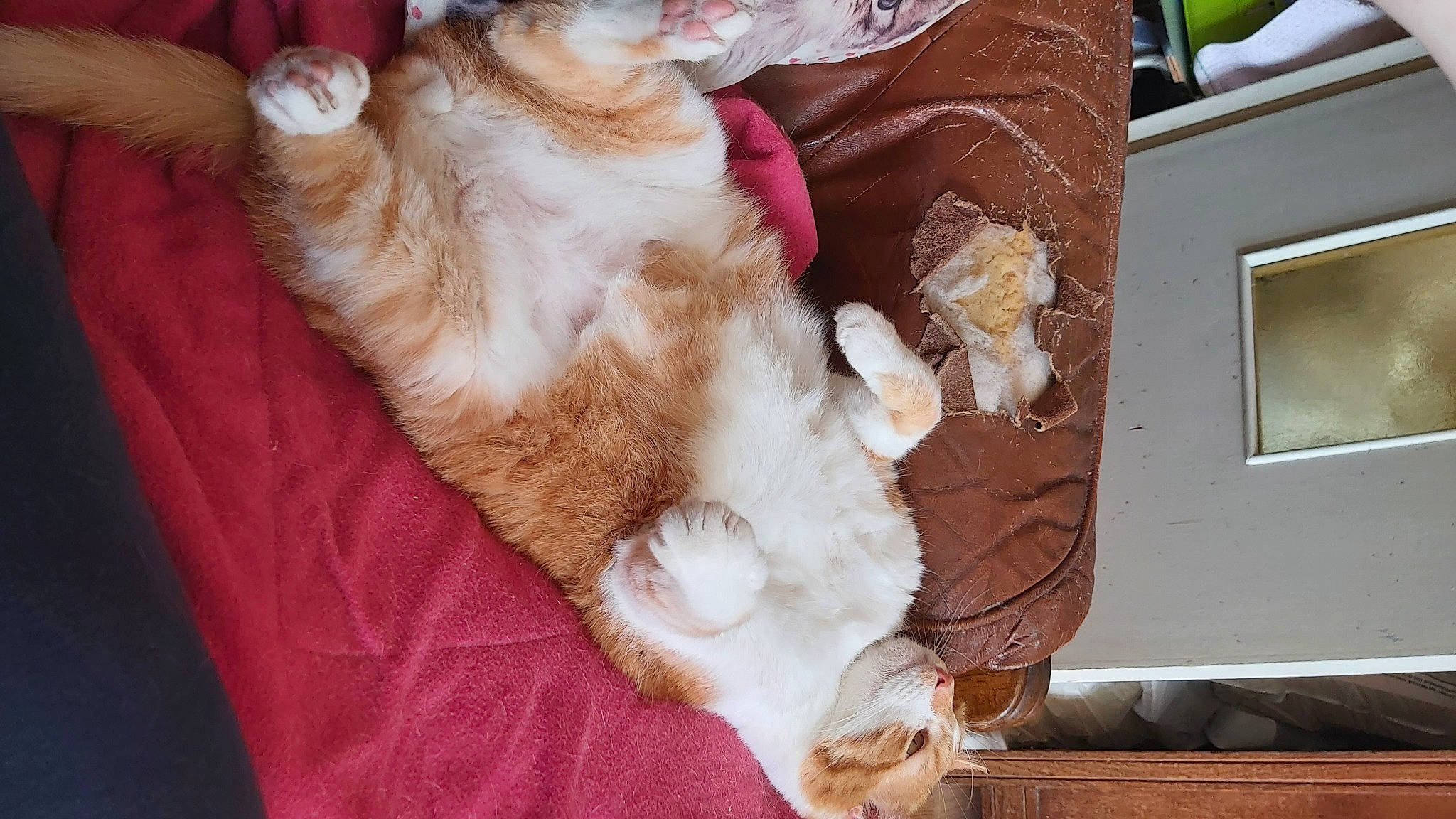 Caramel