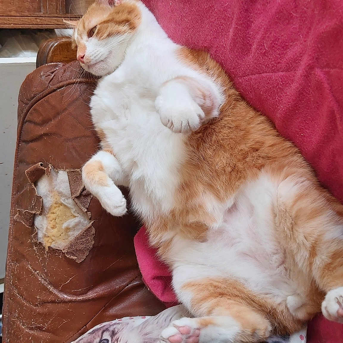 Caramel