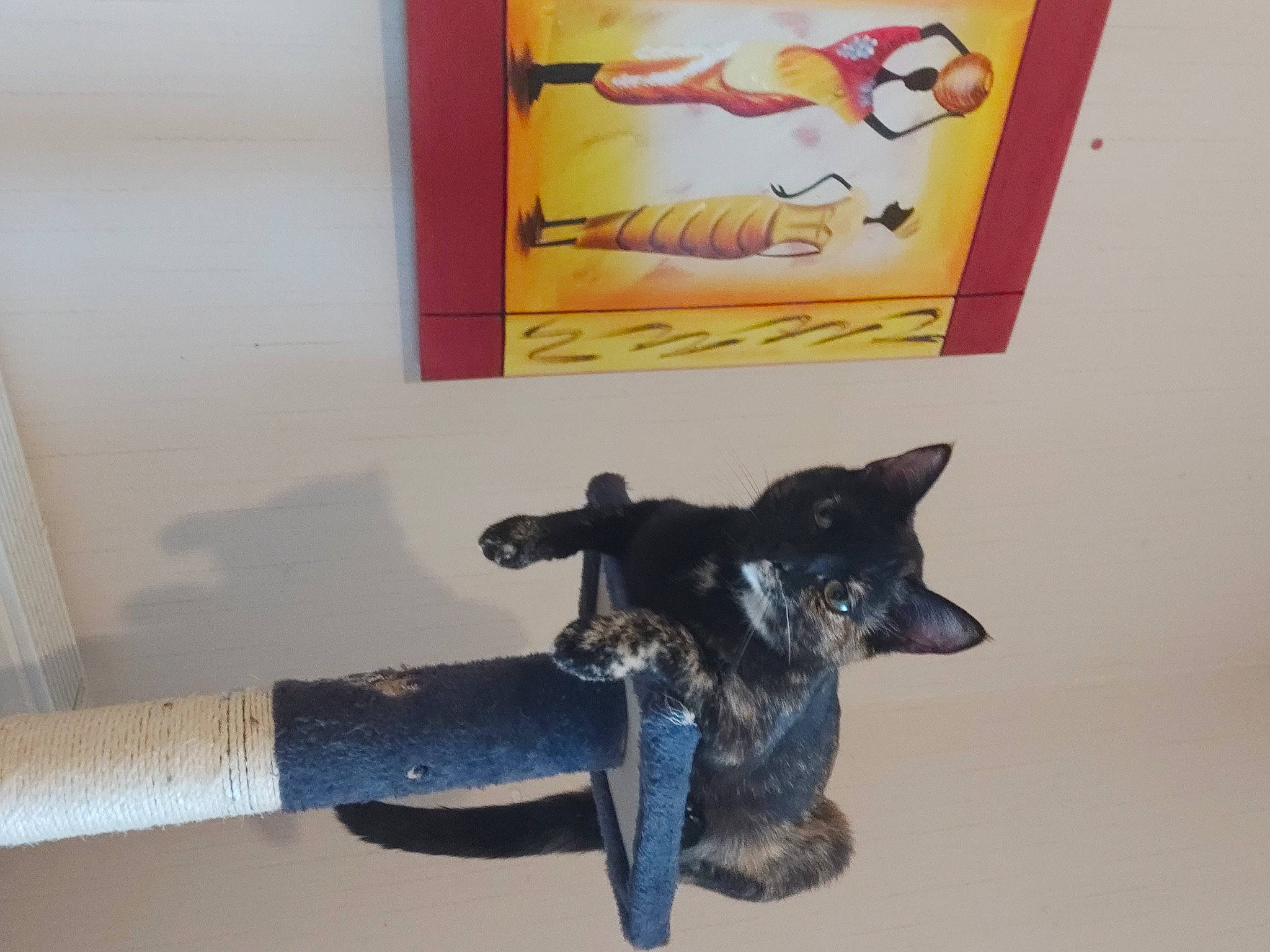 Sibella a rejoint le concours — aidez-le/la à gagner de superbes lots ! animal_figure, art, canidae, carnivore, ceramic, dog_breed, fawn, felidae, fictional_character, fur, guard_dog, metal, painting, sculpture, small_to_medium_sized_cats, stuffed_toy, tail, toy, visual_arts, working_animal