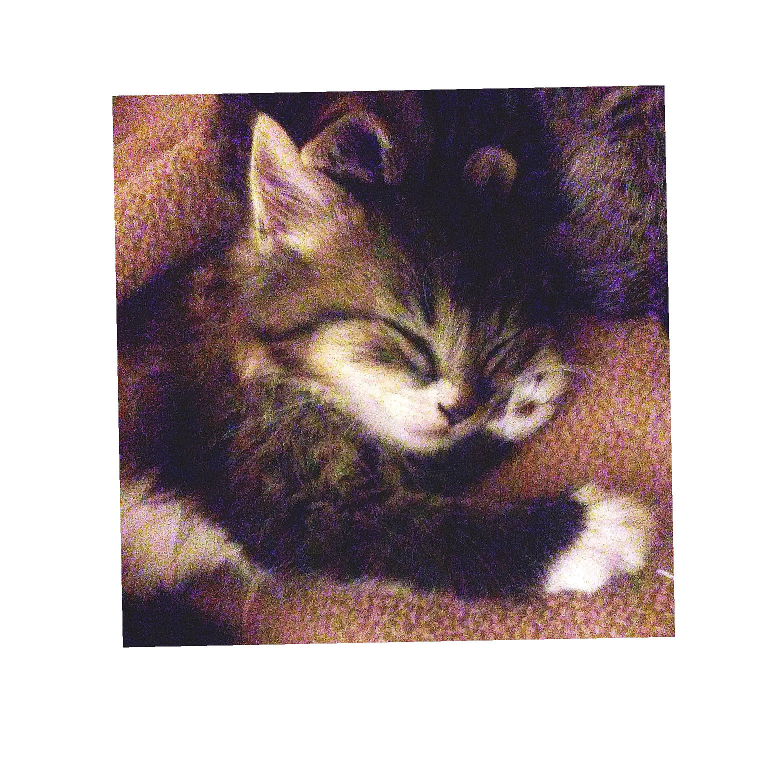 Puff N' Stuff is registered to the contest to win money with this photo: carnivore, cat, ear, european_shorthair, felidae, fur, kitten, painting, small_to_medium_sized_cats, square, tabby_cat, tail, whiskers