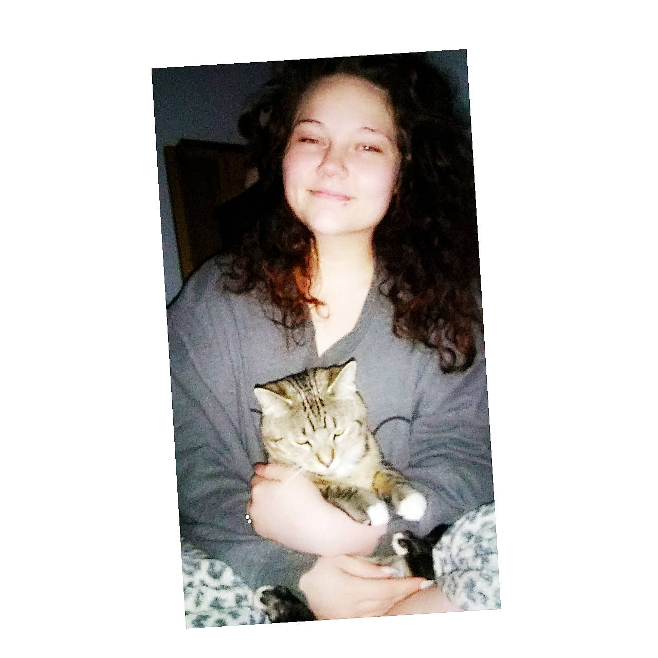 Toby joined the competition — help win amazing prizes! arm, brown_hair, cat, felidae, finger, gesture, hand, kitten, long_hair, portrait, small_to_medium_sized_cats, smile, tabby_cat, whiskers