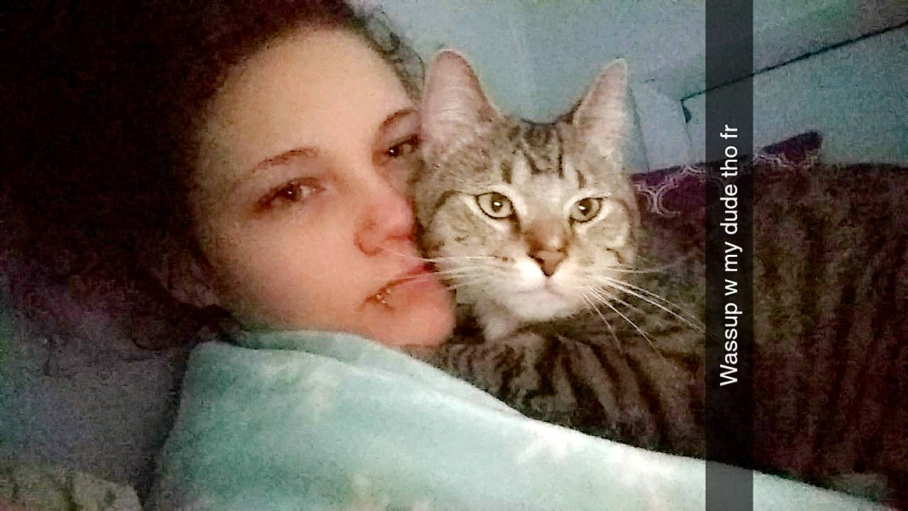 Toby is registered to the contest to win money with this photo: asian, carnivore, cat, domestic_short_haired_cat, dragon_li, european_shorthair, eye, felidae, fur, kitten, nose, photo_caption, photography, pixie_bob, small_to_medium_sized_cats, tabby_cat, whiskers