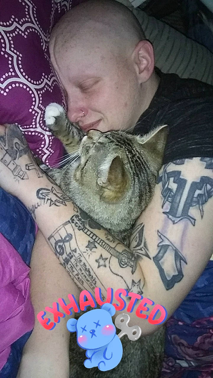 Toby is registered to the contest to win money with this photo: arm, beard, cat, chest, cool, facial_hair, felidae, mouth, muscle, nap, neck, small_to_medium_sized_cats, tattoo, tattoo_artist, temporary_tattoo, whiskers