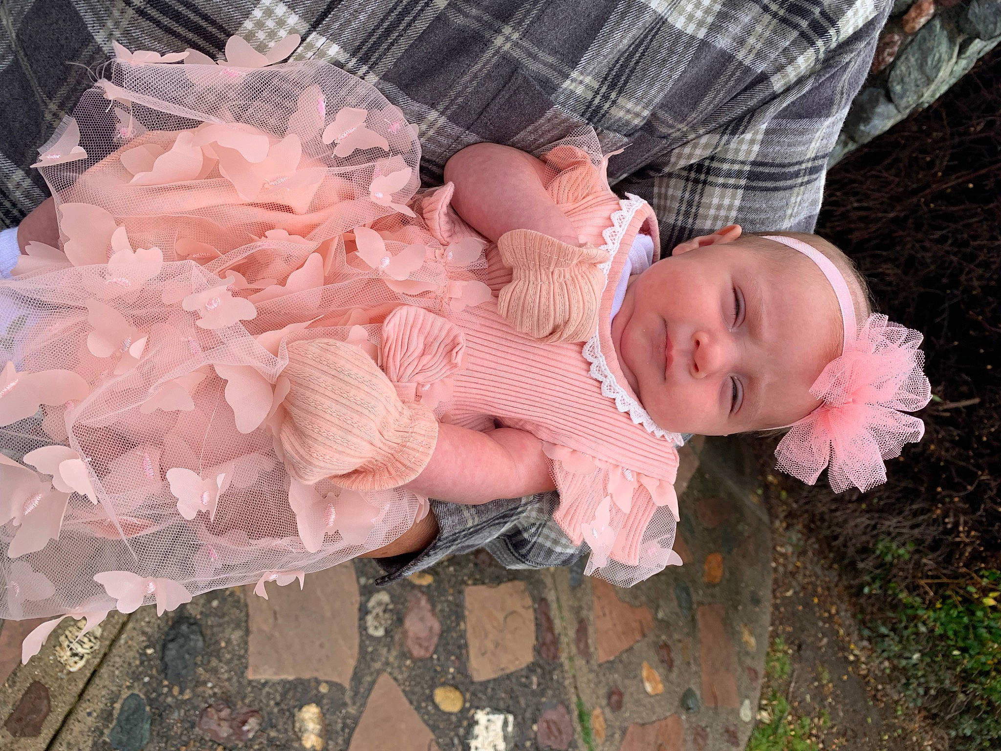 Isabella is registered to the contest to win money with this photo: baby, baby_products, baby_toddler_clothing, cheek, child, dress, flower, fun, grass, pattern, peach, person, petal, pink, plant, rose_family, rose_order, smile, tartan, toddler