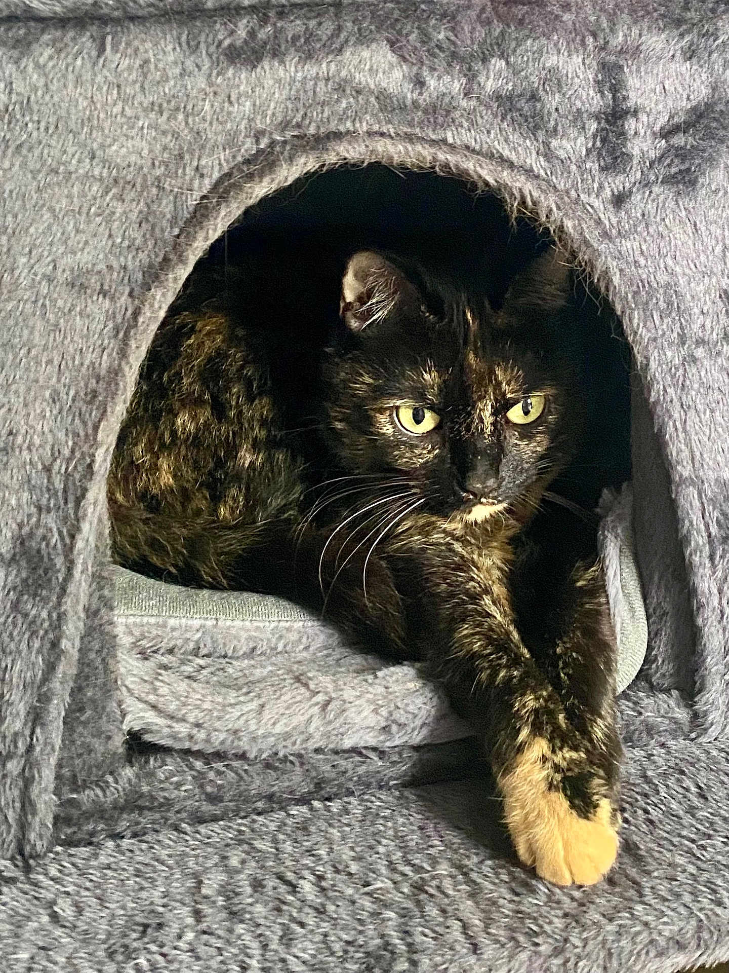 Mia