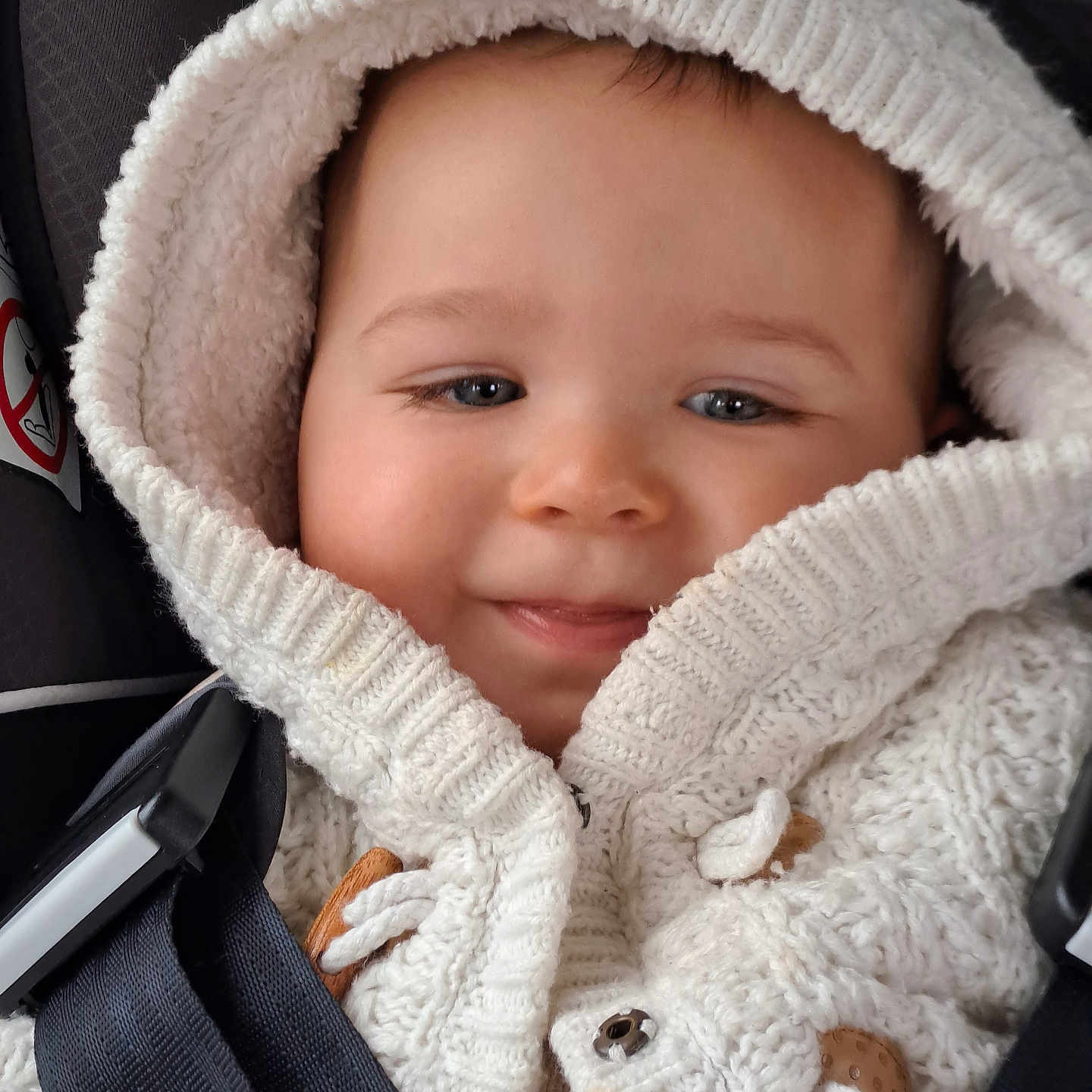 Swan participe au concours pour gagner de l'argent avec cette photo : baby, button, car_seat, child, closeup, clothing, cozy, cute, face, happy, head, hoodie, infant, knitwear, person, portrait, smile, straps, warm, young