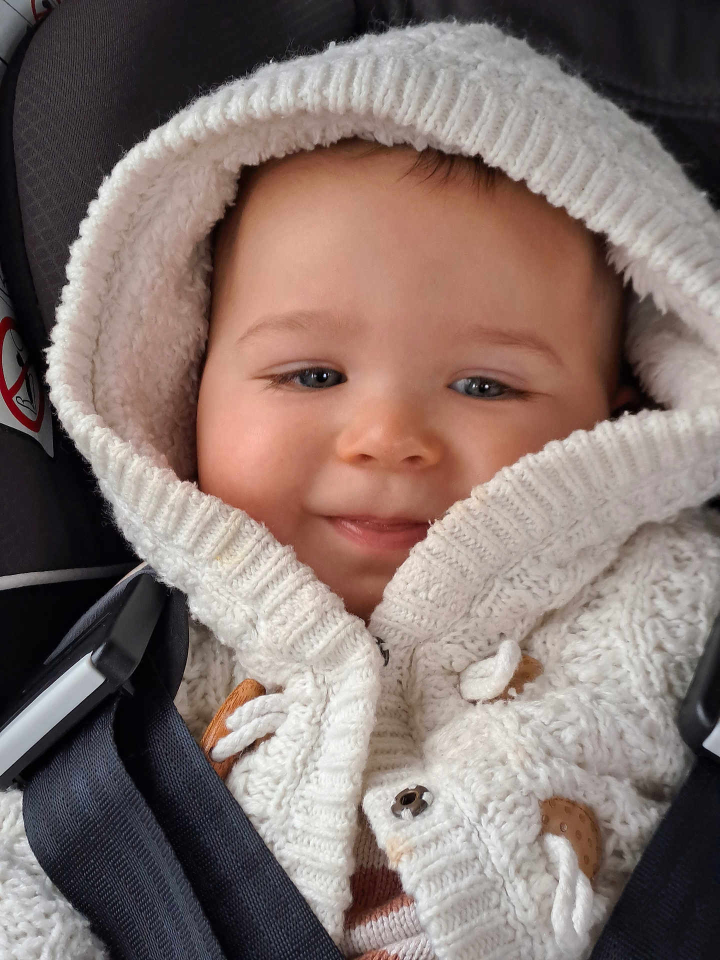 Swan participe au concours pour gagner de l'argent avec cette photo : baby, child, face, hoodie, knitwear, smile, car_seat, straps, clothing, cute, infant, warm, cozy, portrait, closeup, happy, young, person, head, button
