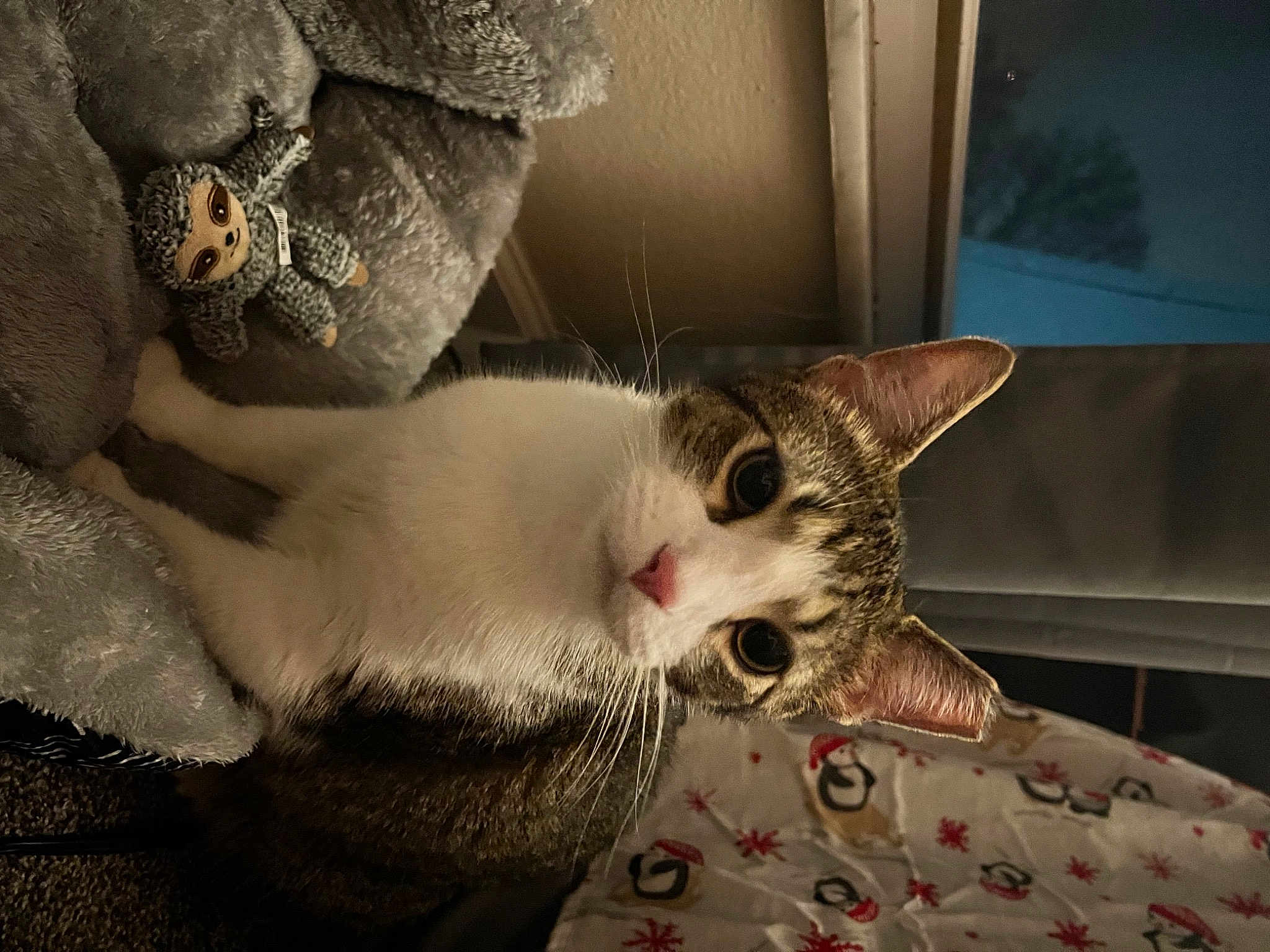 Gus