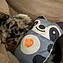 dog, sleeping, pillow, panda, blanket, cozy, fur, resting, indoor, soft, cute, animal, pet, comfort, nap, closeup, furry, relaxation, pattern, cushion