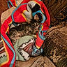 animal, blanket, cat, colorful, couch, cozy, cute, eyes, fur, furniture, indoor, kitten, patterned_blanket, pet, relaxed, resting, small, tabby, whiskers, young