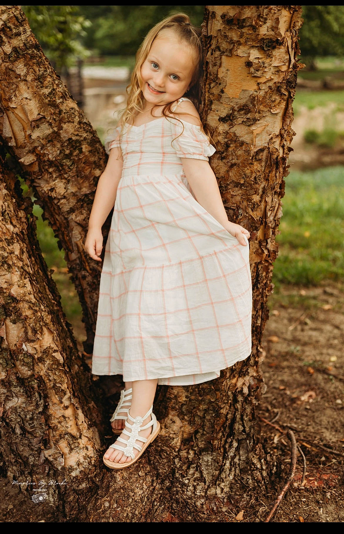 Lylli is registered to the contest to win money with this photo: bridal_party_dress, clothing, dress, eye, fawn, flash_photography, forest, formal_wear, grass, hair, happy, joy, one_piece_garment, people_in_nature, person, plant, smile, tree, trunk, twig