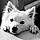 Balto