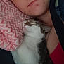 Sammy And Chloe joined the competition — help win amazing prizes! animal, blanket, cat, closeup, comfort, cozy, cuddle, face, human, indoor, person, pet, pink, portrait, relaxation, resting, sleeping, snuggling, soft, warmth