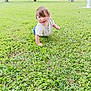 toddler, child, grass, outdoor, park, trees, greenery, crawling, smiling, happy, casual_clothing, short_sleeves, nature, daylight, playful, young_child, lawn, residential_area, casual, portrait