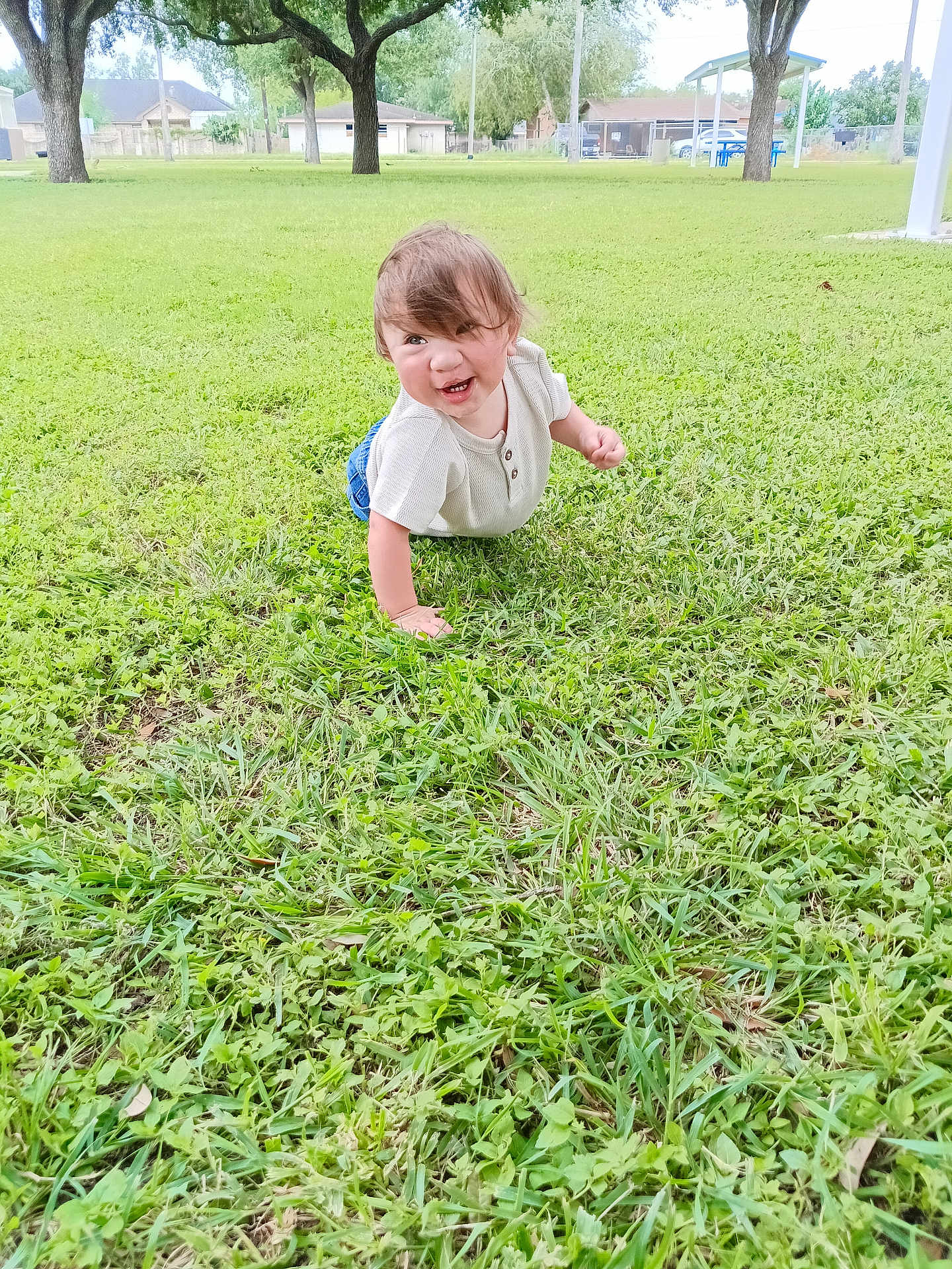 Jeremiah is registered to the contest to win money with this photo: toddler, child, grass, outdoor, park, trees, greenery, crawling, smiling, happy, casual_clothing, short_sleeves, nature, daylight, playful, young_child, lawn, residential_area, casual, portrait