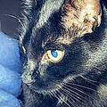 Ludi V.