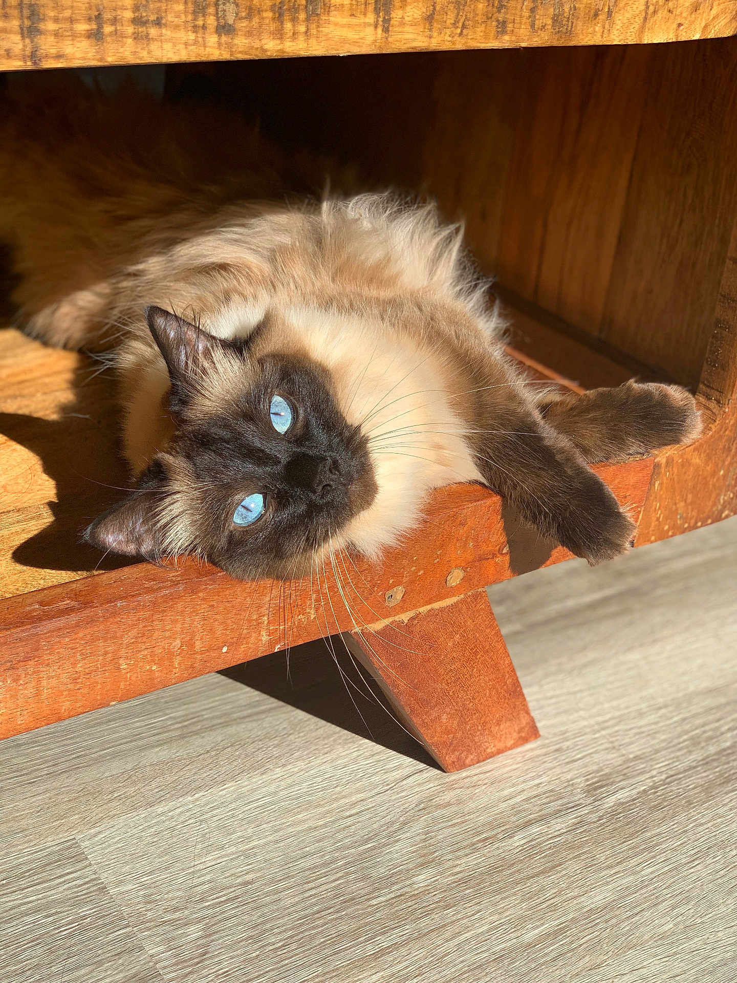Mochi