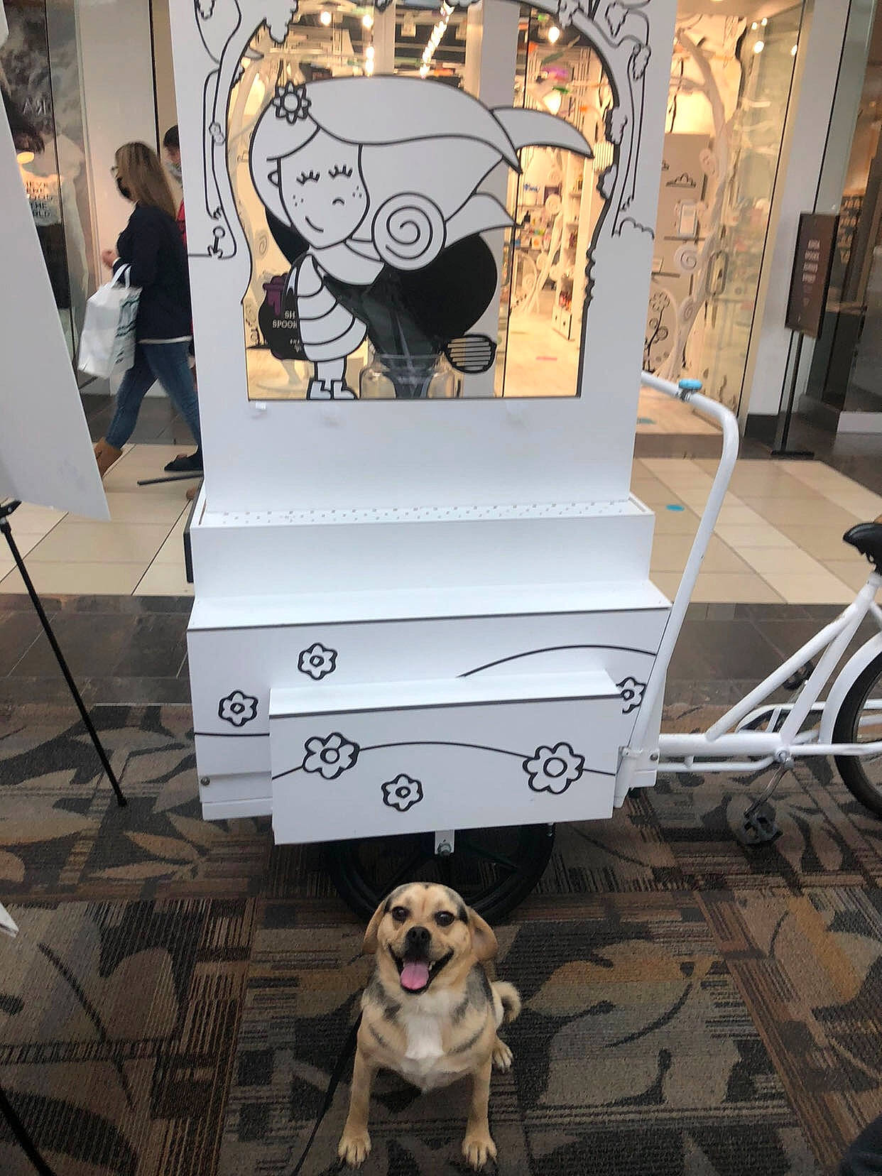 Max is registered to the contest to win money with this photo: art, automotive_design, bicycle_wheel, black, carnivore, carpet, companion_dog, dog, dog_breed, drawing, floor, flooring, hardwood, illustration, room, tire, visual_arts, wheel, white, wood