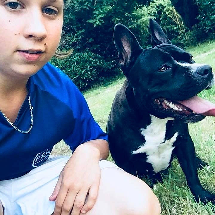 Era participe au concours pour gagner de l'argent avec cette photo : american_pit_bull_terrier, american_staffordshire_terrier, bull_and_terrier, canidae, carnivore, companion_dog, cool, dog, dog_breed, dog_collar, fawn, french_bulldog, love, mammal, non_sporting_group, pit_bull, puppy, puppy_love, staffordshire_bull_terrier, vertebrate