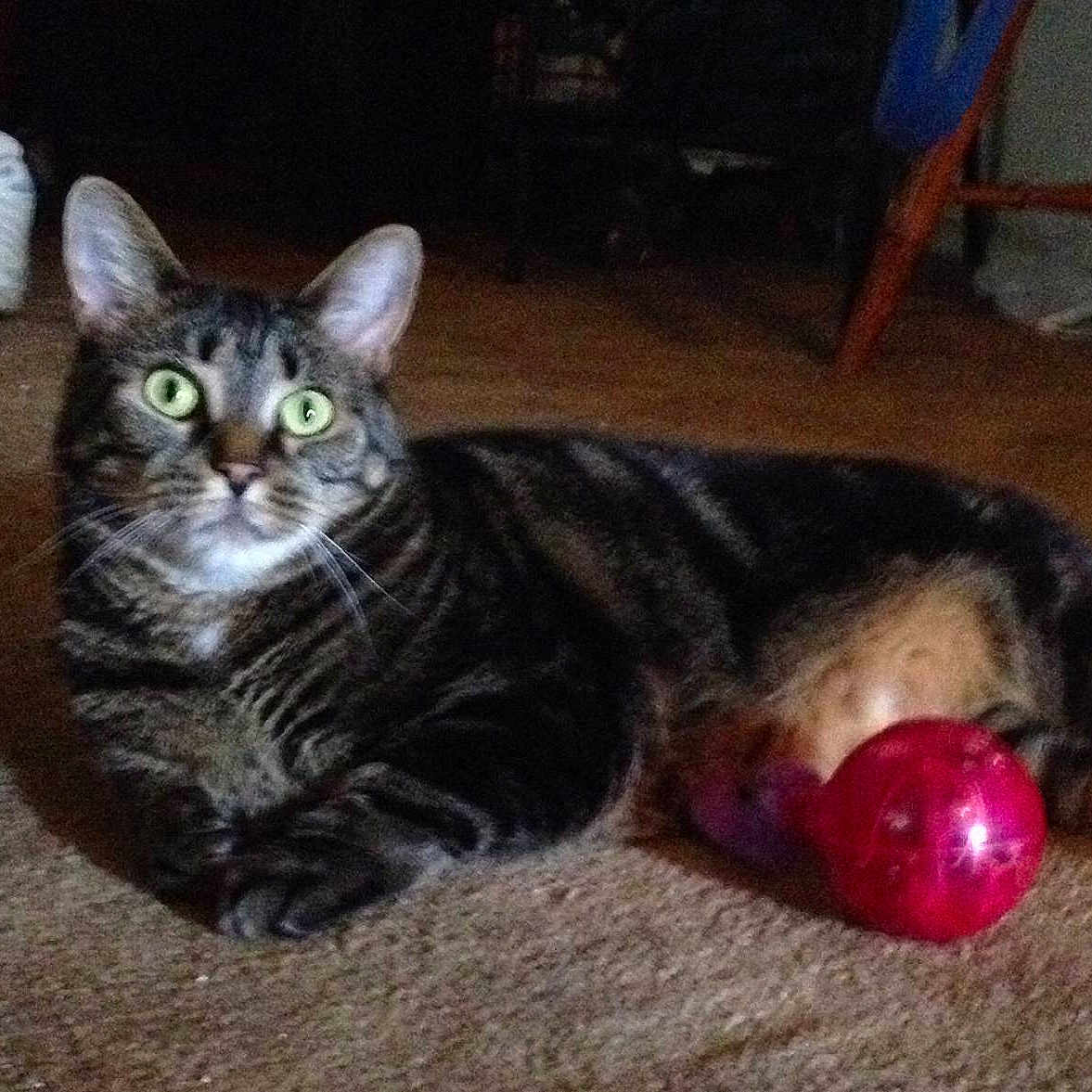 Sookie