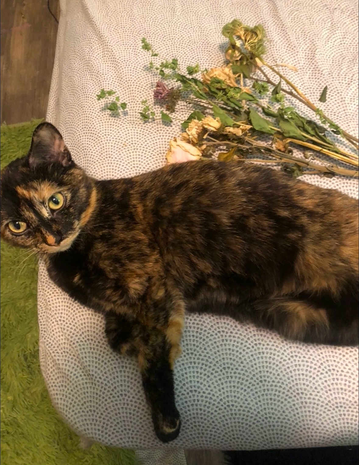 Tilly