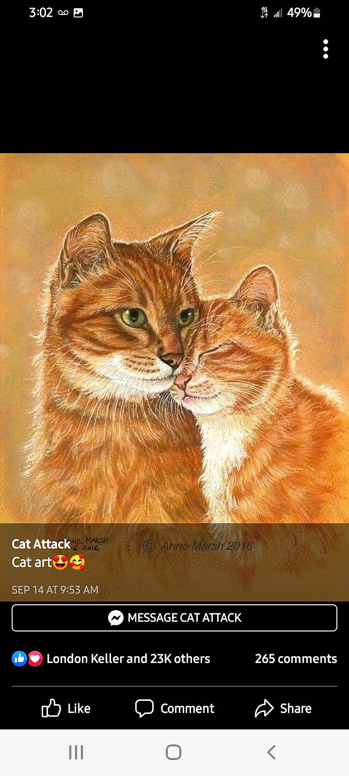 Cammie G. is registered to the contest to win money with this photo: adaptation, advertising, art, carnivore, cat, domestic_short_haired_cat, drawing, felidae, font, fur, illustration, organism, painting, photo_caption, poster, small_to_medium_sized_cats, snout, terrestrial_animal, whiskers, wildlife