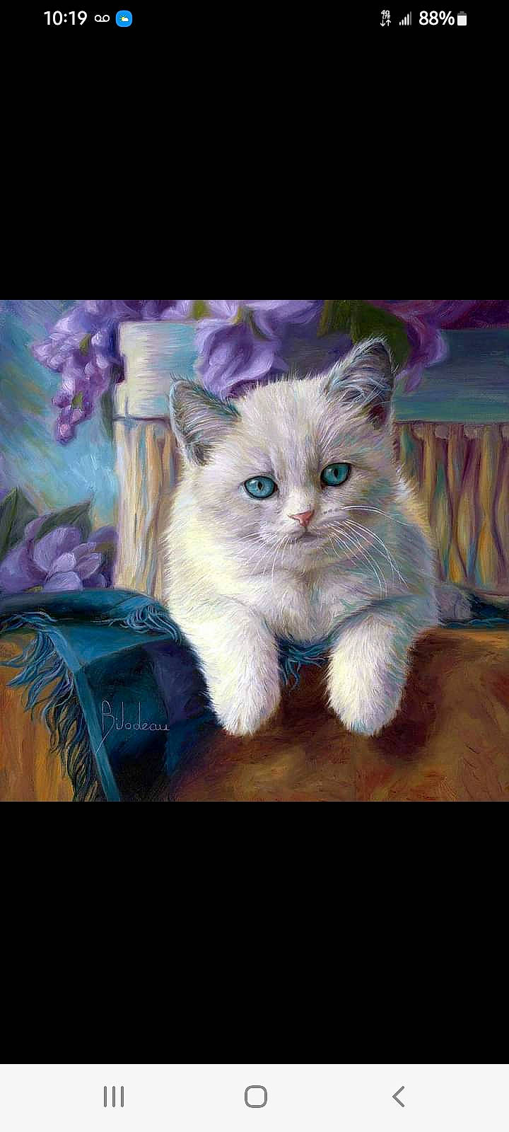 Cammie G. joined the competition — help win amazing prizes! art, artwork, carnivore, cat, claw, drawing, electric_blue, felidae, fur, illustration, paint, painting, paw, petal, photo_caption, plant, small_to_medium_sized_cats, tail, visual_arts, whiskers