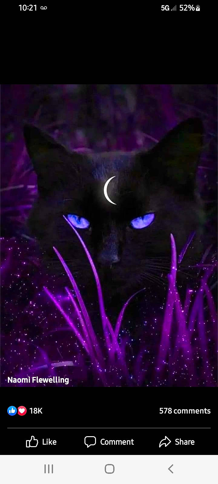 Cammie G. joined the competition — help win amazing prizes! art, black_cat, carnivore, cat, darkness, electric_blue, felidae, font, graphics, grass, illustration, magenta, plant, purple, rectangle, small_to_medium_sized_cats, snout, violet, visual_arts, whiskers