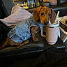 Vinny is registered to the contest to win money with this photo: dog, puppy, dachshund, denim_jacket, leather_chair, pink_mug, straws, living_room, cushion, blanket, table, decor, shelf, plant, cozy, indoor, pet, cute, small_dog, curious