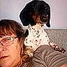Oreo is registered to the contest to win money with this photo: woman, dog, glasses, nose_ring, couch, indoor, pet, spotted_dog, shoulder, casual, relaxed, portrait, brown_hair, short_hair, gray_tshirt, animal, companion, closeup, friendship, home