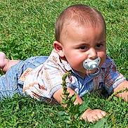 Noa participe au concours pour gagner de l'argent avec cette photo :