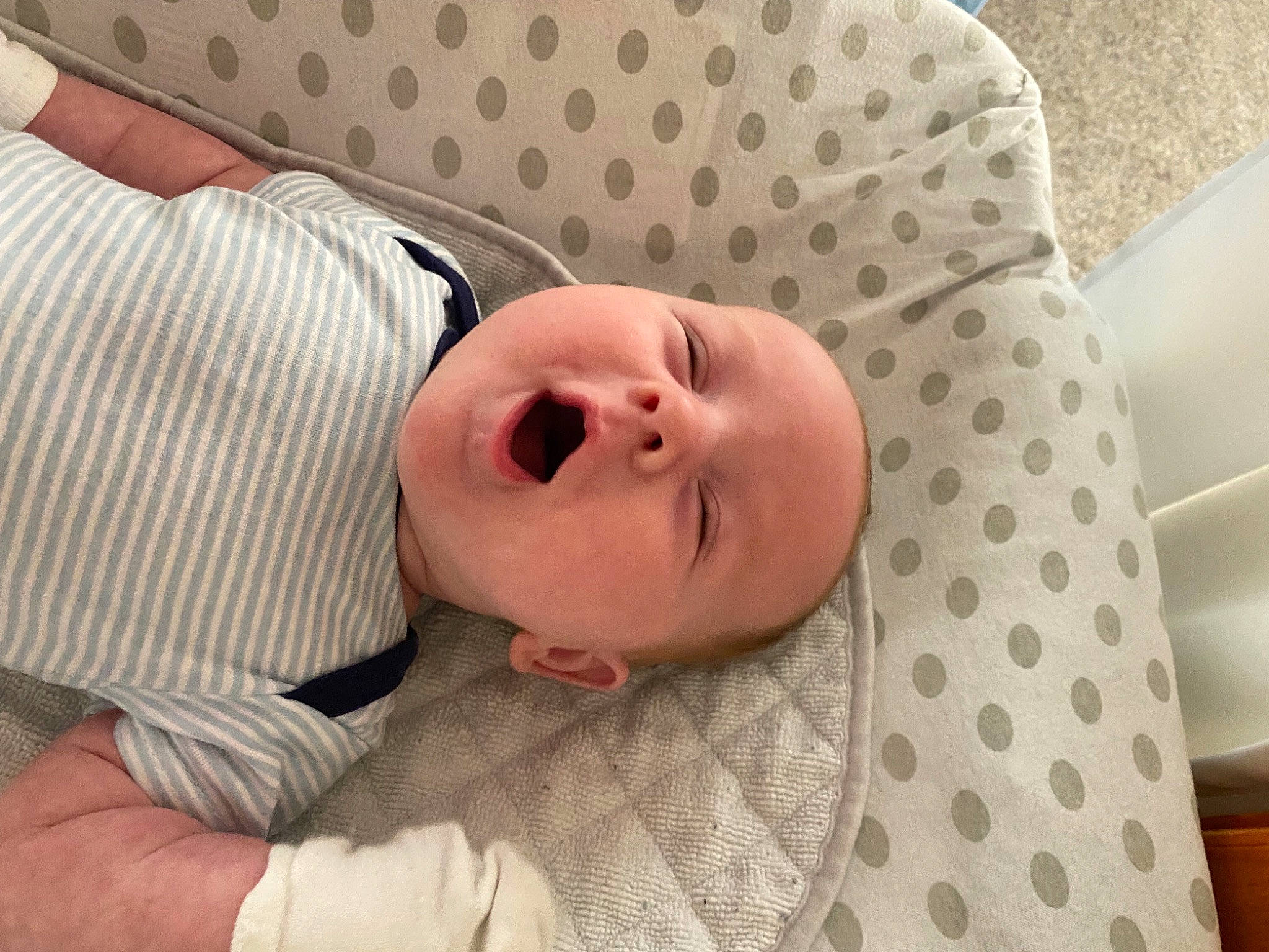 Drew is registered to the contest to win money with this photo: baby, baby_products, baby_toddler_clothing, cheek, child, collar, comfort, eyelash, grass, happy, linens, lip, nose, pattern, person, skin, sleep, sleeve, smile, toddler