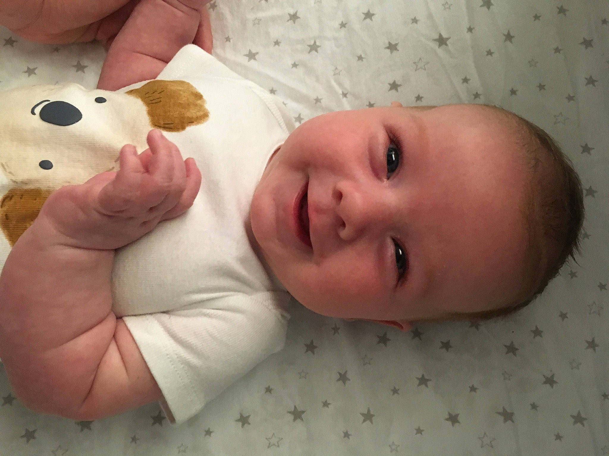 Drew is registered to the contest to win money with this photo: baby, baby_products, baby_toddler_clothing, cheek, child, comfort, finger, gesture, happy, joy, linens, nose, person, skin, smile, stuffed_toy, teddy_bear, textile, thumb, toddler