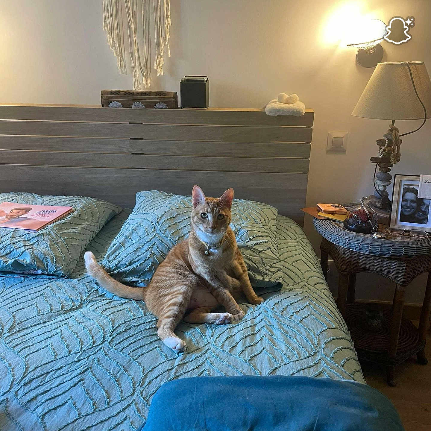 Aladin participe au concours pour gagner de l'argent avec cette photo : bed, blanket, cat, cozy, curious, decor, feline, furniture, home, indoor, lamp, lighting, nightstand, orange_tabby, pet, pillow, relaxed, wall_hanging, wicker, wood