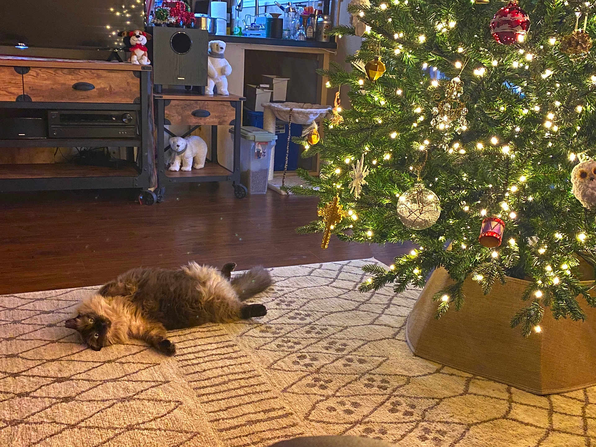 Buddy joined the competition — help win amazing prizes! cat, fluffy, lying_down, rug, patterned_rug, living_room, christmas_tree, christmas_lights, ornaments, holiday_decor, wooden_floor, furniture, polar_bear_decoration, cozy, indoor, festive, decorations, home, pet, relaxing