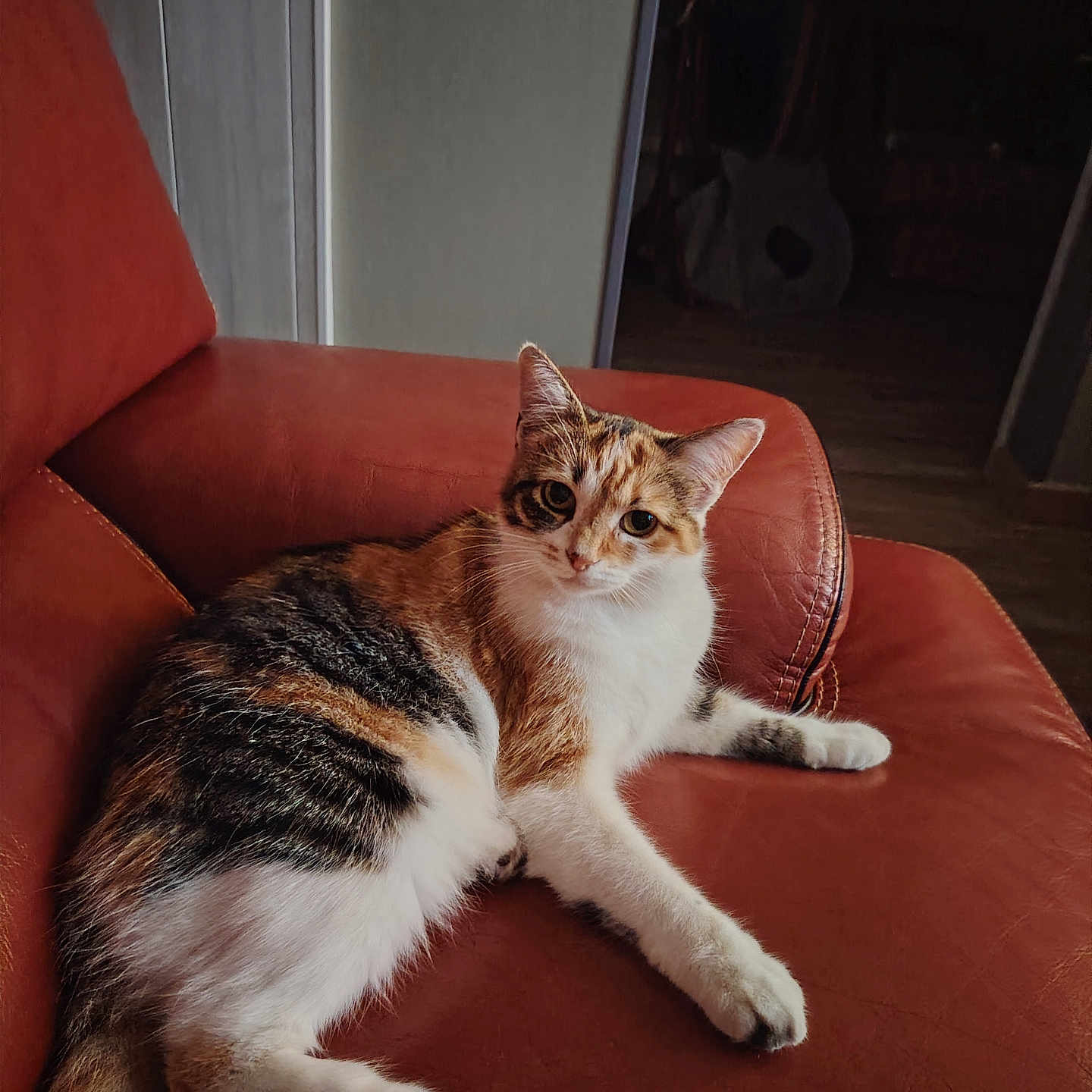 Tina