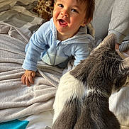 Hayden participe au concours pour gagner de l'argent avec cette photo : baby, bed, blanket, blue_onesie, cat, child, crawling, cute, furniture, gray_cat, happy, home, indoor, person, pet, plush_toy, smiling, soft_fabric, toy, white_cat