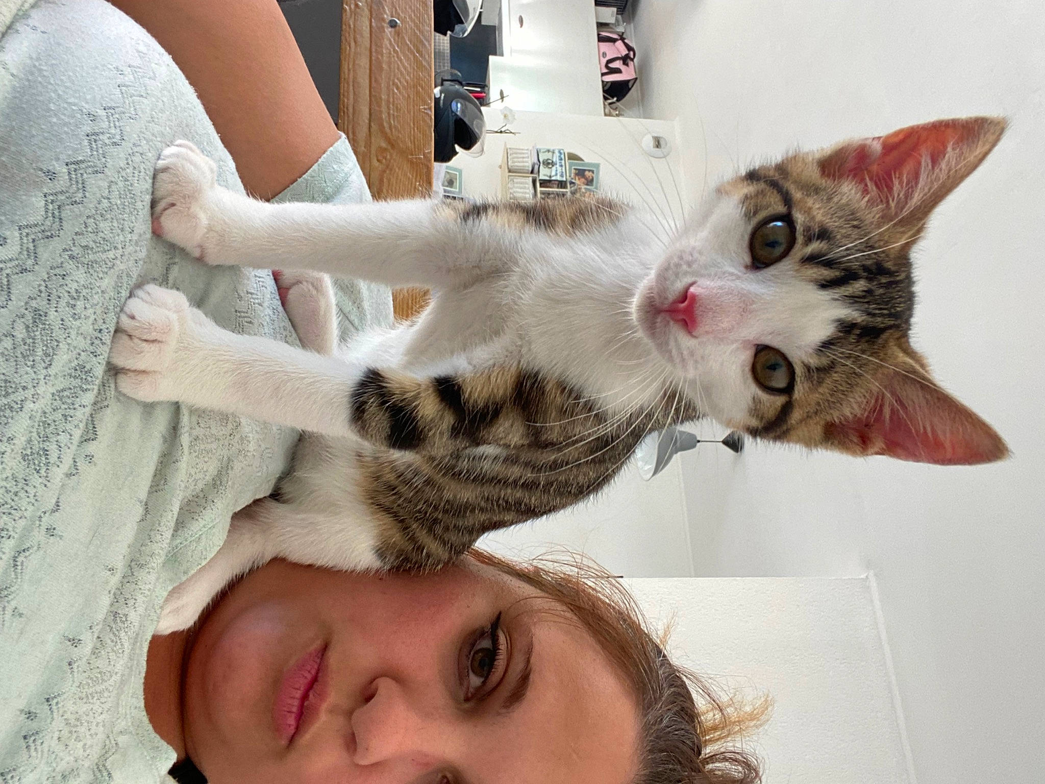 Kinder participe au concours pour gagner de l'argent avec cette photo : arm, carnivore, cat, comfort, ear, eye, eyebrow, eyelash, felidae, gesture, hair, hand, head, iris, jaw, neck, nose, skin, smile, white