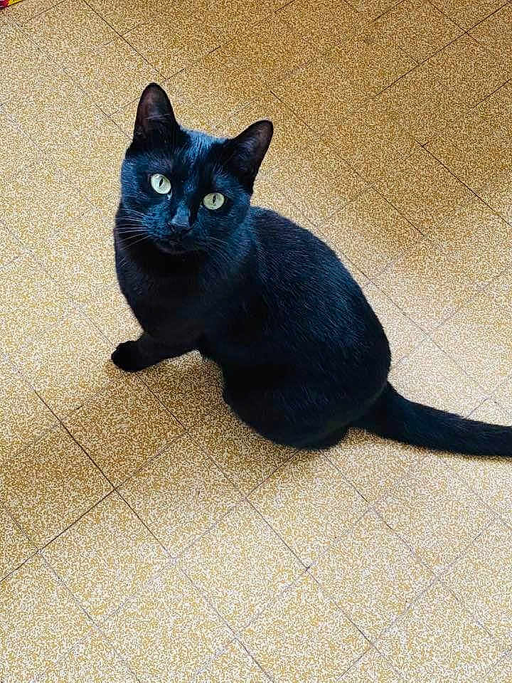 Tikka