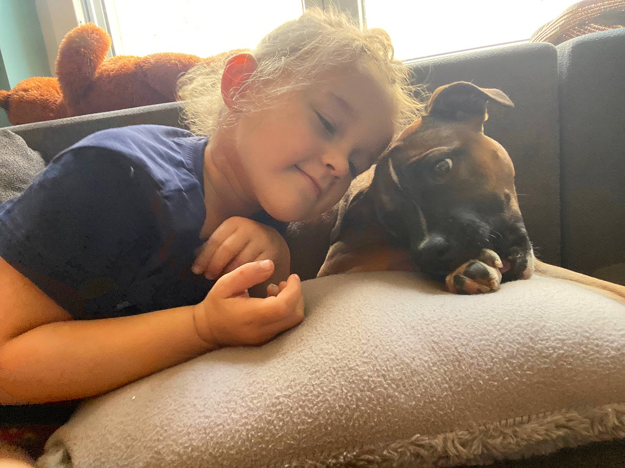 Aria a rejoint le concours — aidez-le/la à gagner de superbes lots ! canidae, carnivore, child, comfort, companion_dog, couch, dog, dog_breed, ear, fawn, happy, human_leg, interaction, sitting, snout, sporting_group, toddler, toy_dog, whiskers, working_animal