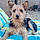 Bobby