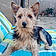 Bobby