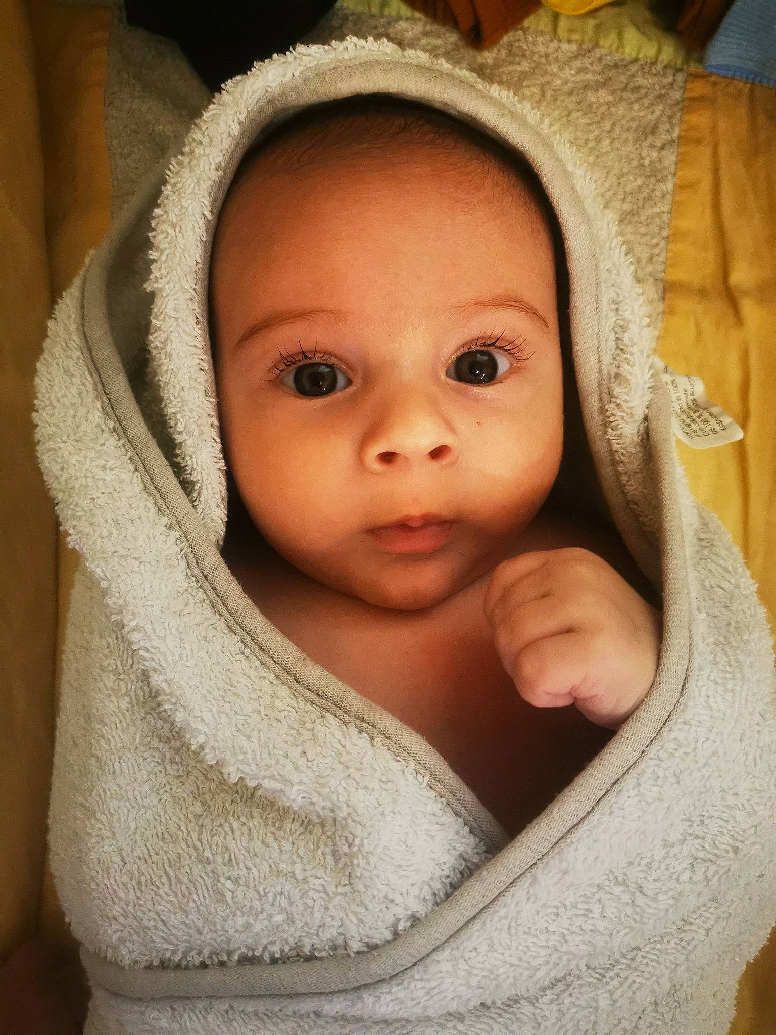 Ruben a rejoint le concours — aidez-le/la à gagner de superbes lots ! baby, baby_toddler_clothing, cheek, child, comfort, eyebrow, eyelash, fur, gesture, iris, linens, lip, no_expression, nose, person, portrait_photography, skin, sleeve, smile, toddler