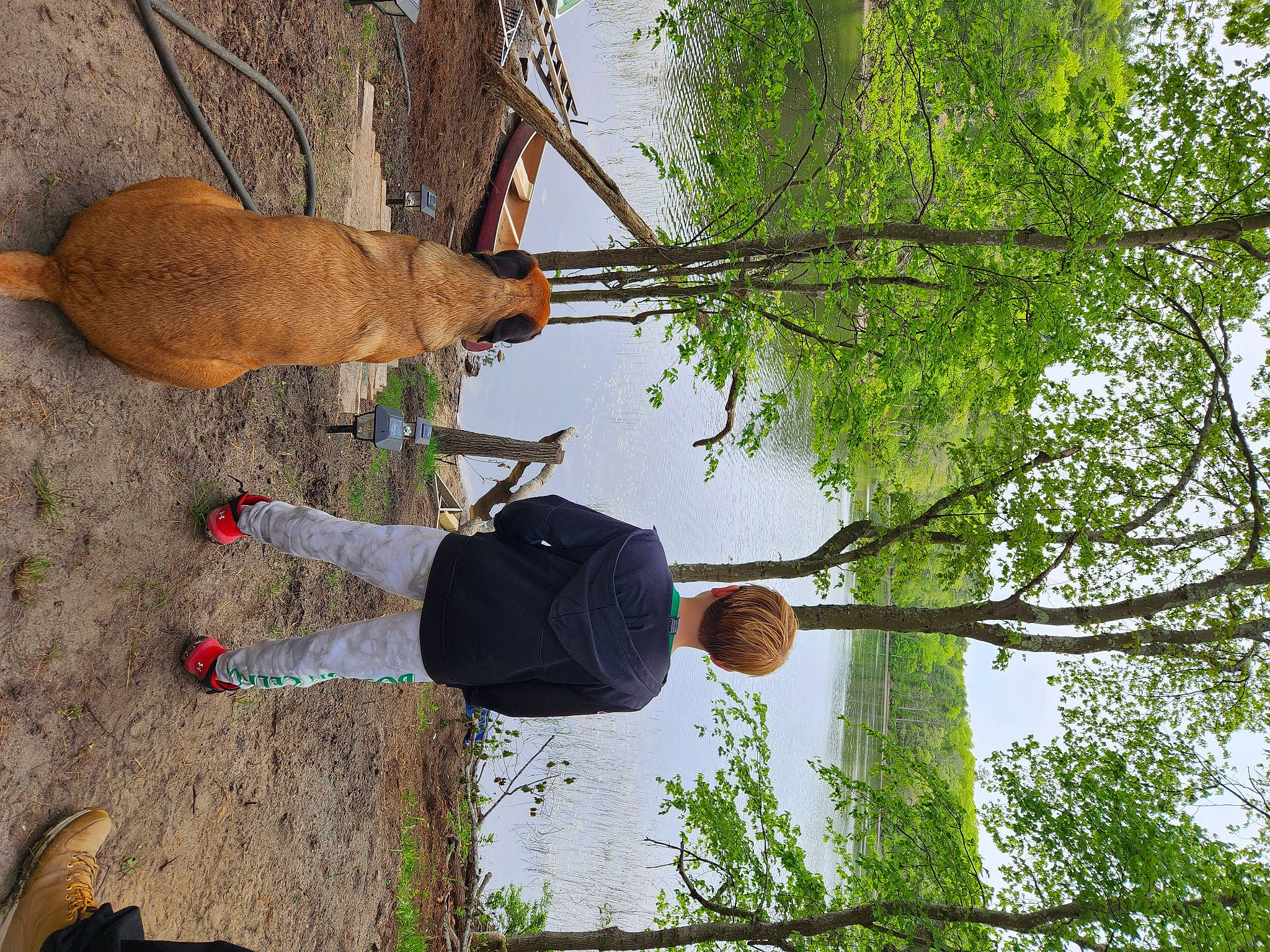 Brody is registered to the contest to win money with this photo: fawn, grass, grass_family, hat, landscape, leg, leisure, people_in_nature, person, plant, plant_stem, sky, soil, tail, tree, trunk, twig, walking_shoe, wood