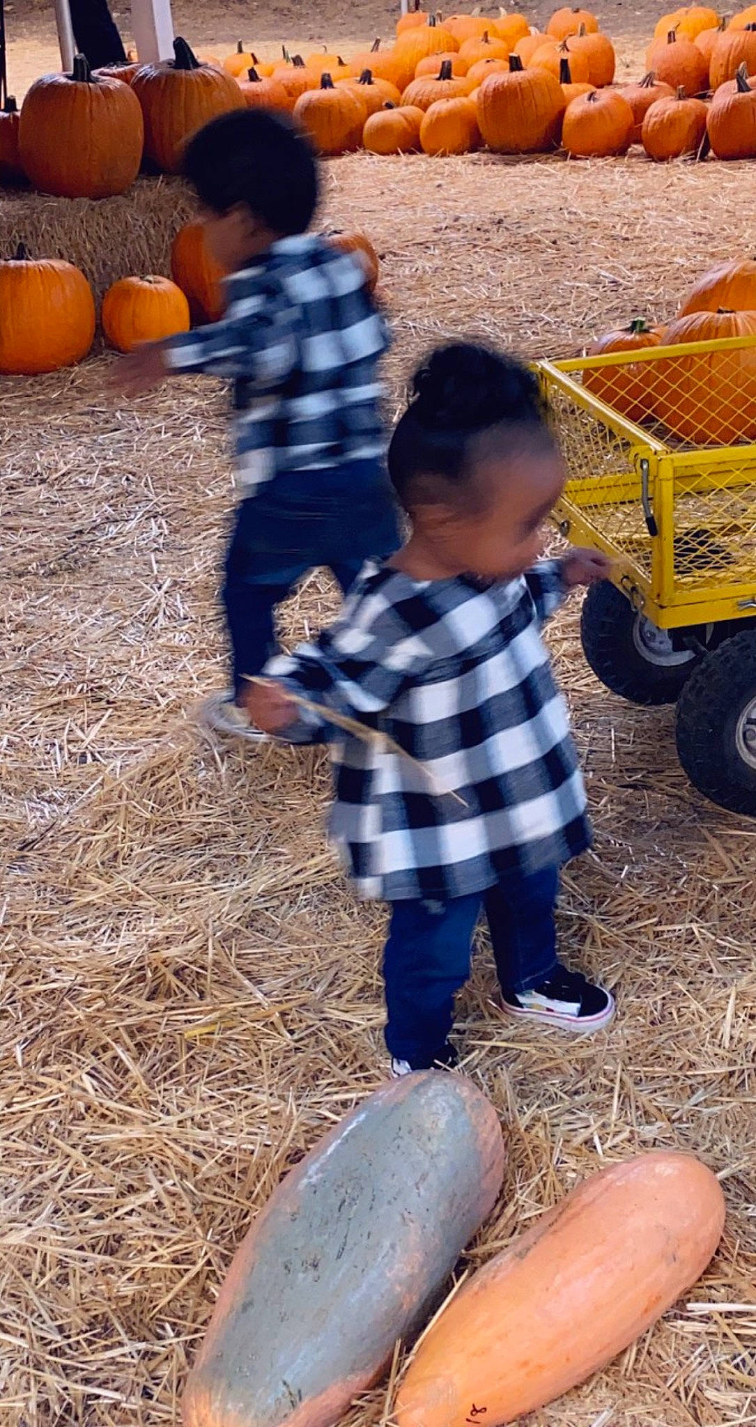 Jaide joined the competition — help win amazing prizes! adaptation, black, calabaza, child, clothing, cucurbita, fun, gourd, grass, leg, organ, people, people_in_nature, person, photograph, pumpkin, tire, toddler, wheel, wood