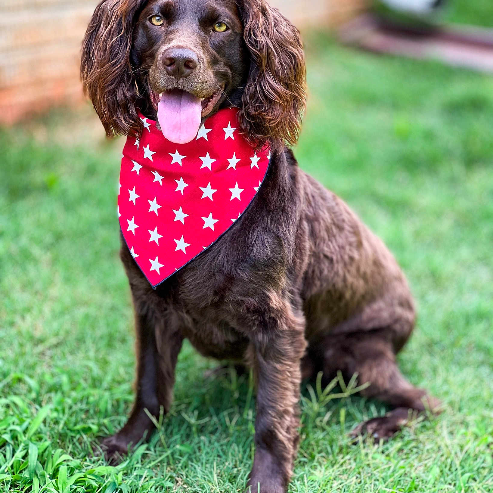Rosie