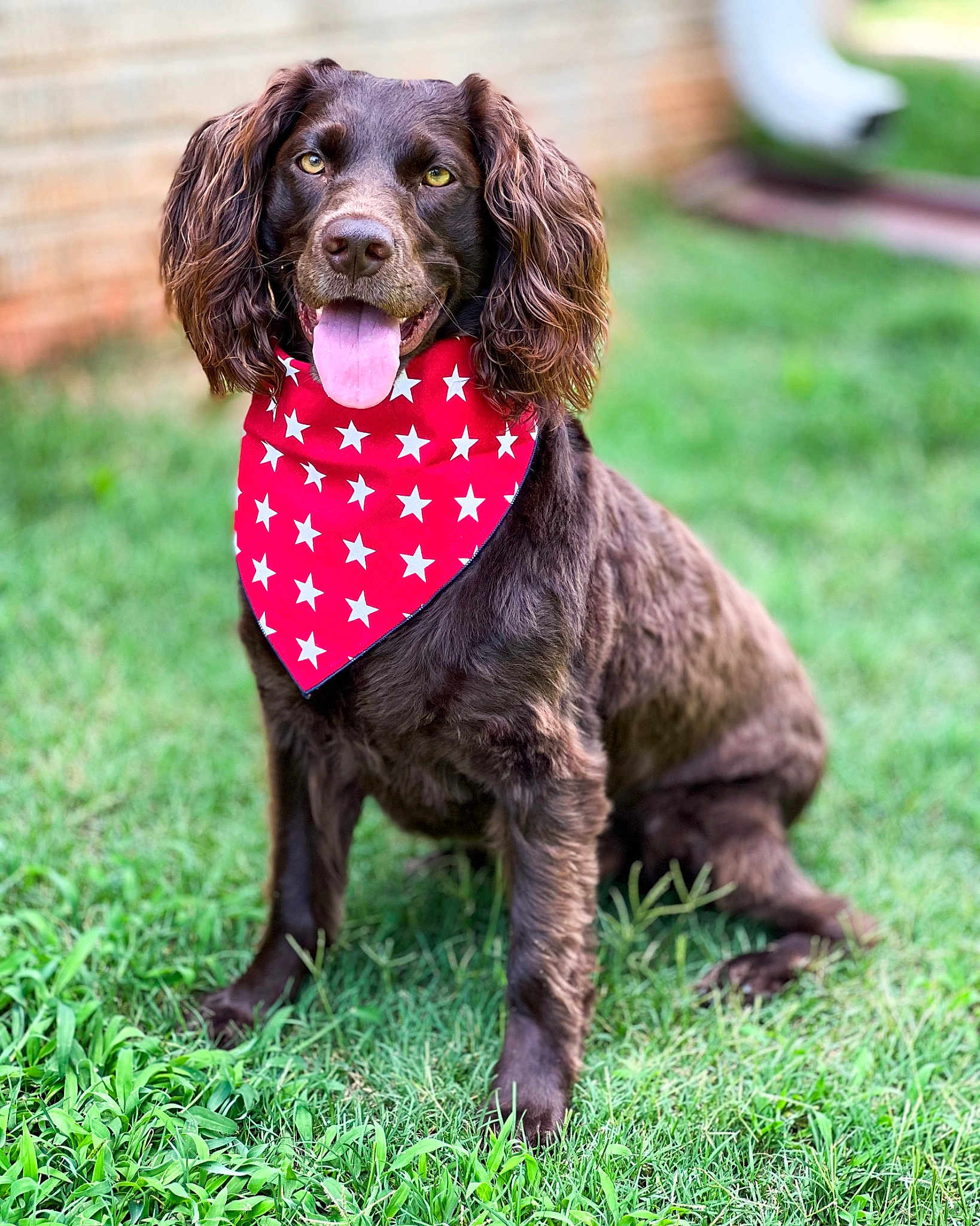 Rosie