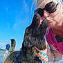 dog, german_shepherd, woman, kiss, sunglasses, nail_polish, beach, water, happy, tattoo, blue_sky, sunny, outdoor, person, man, leash, harness, barefoot, summer, playful